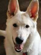 kaisersbrunnen.de Ashne