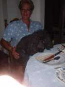 saveadogandkids.org Ashuba