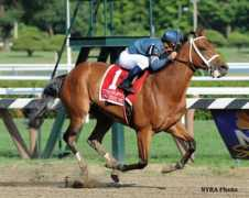 paulickreport.com Askthe