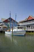 c21lowcountry.com Asnip
