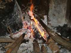 Asouti