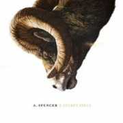 washingtoncitypaper.com Aspencer