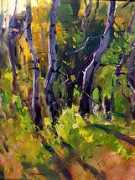Aspens