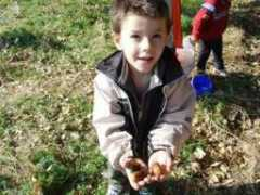 mediterraneangardensociety.org Aspioti