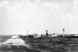 marine-marchande.net Assimina