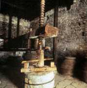 alternativegreece.gr Assimina