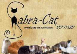 sabra-cat.com Assocciation