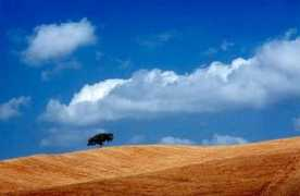 fotoamatorisanvincenzo.it Atose