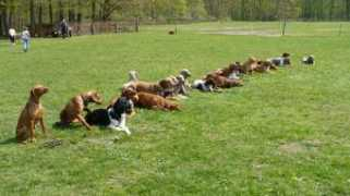 bedulka.vesele.info Atose