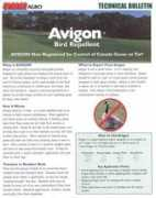 mpbirdcontrol.qc.ca Avigon