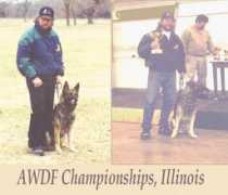 familyk9s.com Awdf