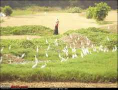 team-bhp.com Azhikkal