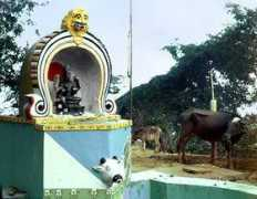 Babru