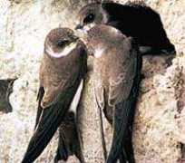 agon-schwerte.de Badalewski