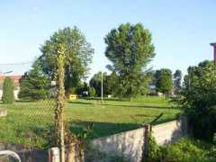 associazionelagunari.it Bafile