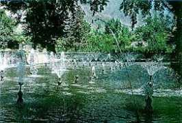 gardening-uk.com Baghin