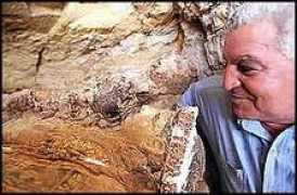 dagbladet.no Bahriya