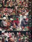 contemporarynomad.com Bahrus