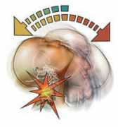 bryanbajakian.weebly.com Bajakian