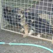 clairmont.wordbook.cz Bajata