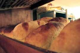 Bakeshop