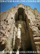 afghanland.com Bakhter