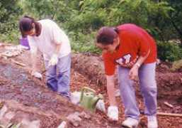 thomania.org Bakoulis