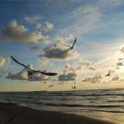 fotoblur.com Balevicius