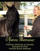 arabianquest.com Balthazaar