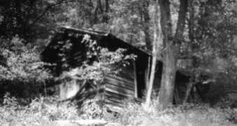 orgsites.com Balwanz