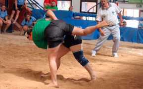 diariodeavisos.com Bandala