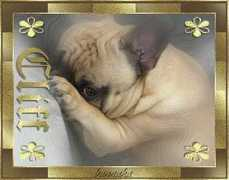 rikiemartin.nl Bannaka