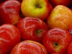 Bapple