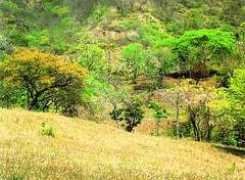 costarica.net Barahon