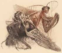 lahdentaidegraafikot.fi Baramov