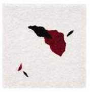 kunstverein-bad-salzdetfurth.de Baramov