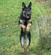 sonorian.fi Barbarina