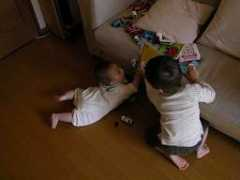 blog.manuzik.net Barbatruc