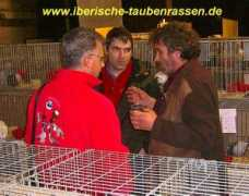 iberische-taubenrassen.de Barbeite