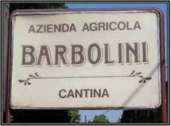 Barbolini