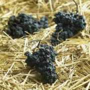 zivotnistyl.cz Barikova