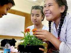 the.honoluluadvertiser.com Barinque