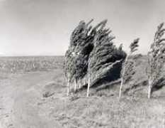 mutualart.com Bartscherer