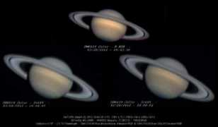 alpo-j.asahikawa-med.ac.jp Barzacchi