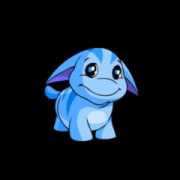 neopets.com Basangi