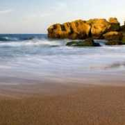 fotokritik.com Basaroglu