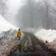 fotokritik.com Basaroglu