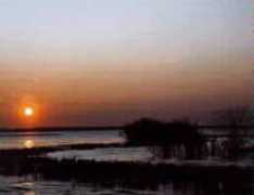 fotomall.com Batazhan
