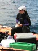 hawaiianatolls.org Baums