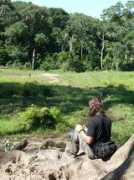 Bayanga